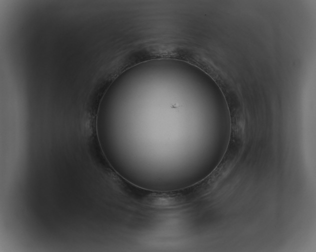 X0000100750658200806261545