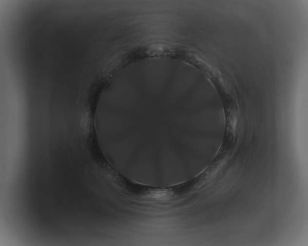 X0000100750659200806261545