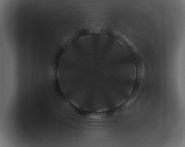 X0000100750661200806261545