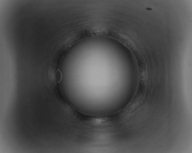 X0000100750662200806261545