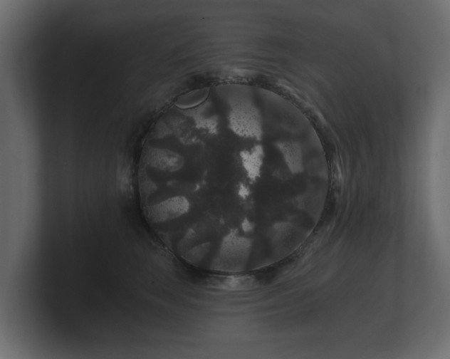 X0000100750663200806261545