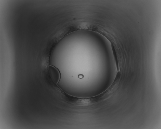 X0000100750665200806261545