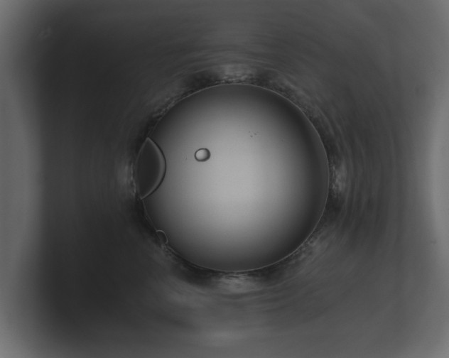 X0000100750666200806261545