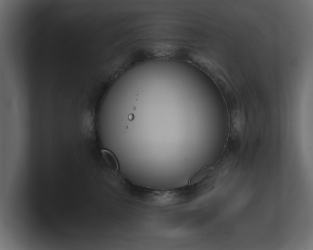 X0000100750667200806261545