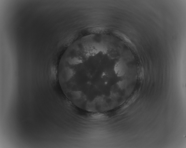 X0000100750669200806261545