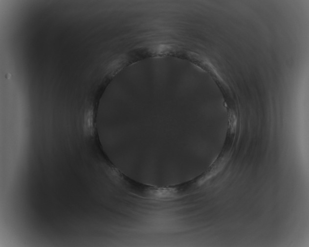 X0000100750670200806261545