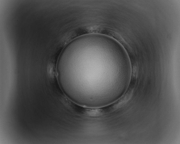 X0000100750671200806261545