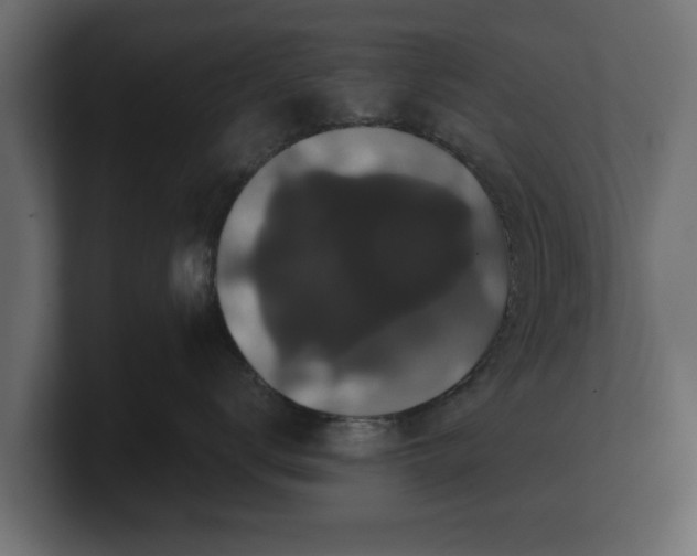 X0000100750672200806261545