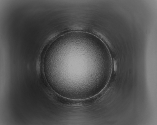 X0000100750675200806261544