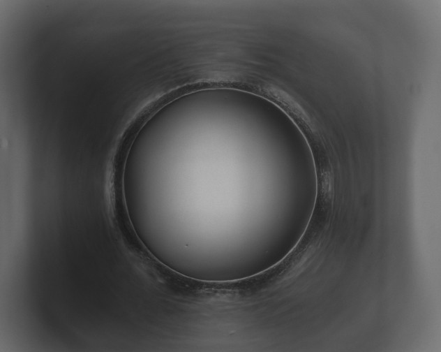 X0000100750676200806261544