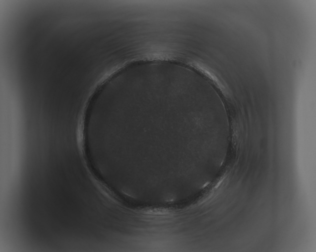 X0000100750677200806261544