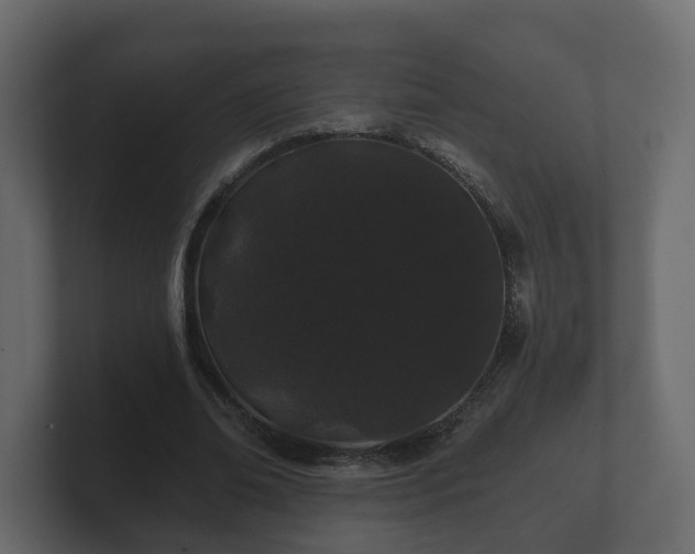 X0000100750678200806261544