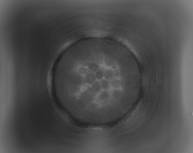 X0000100750679200806261544