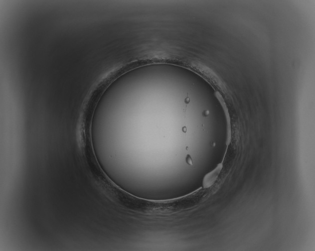 X0000100750680200806261544