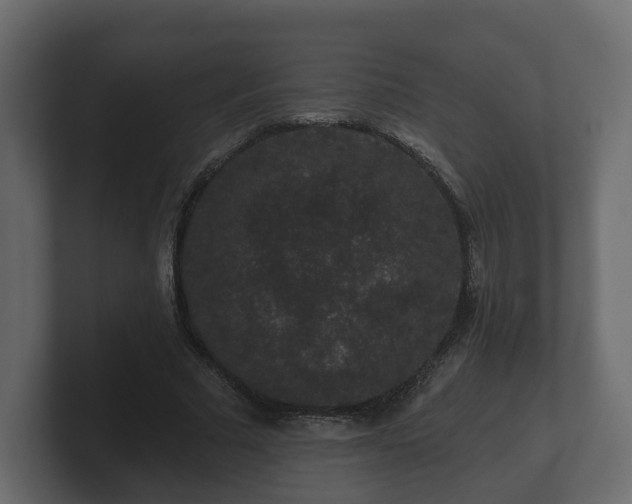 X0000100750681200806261544