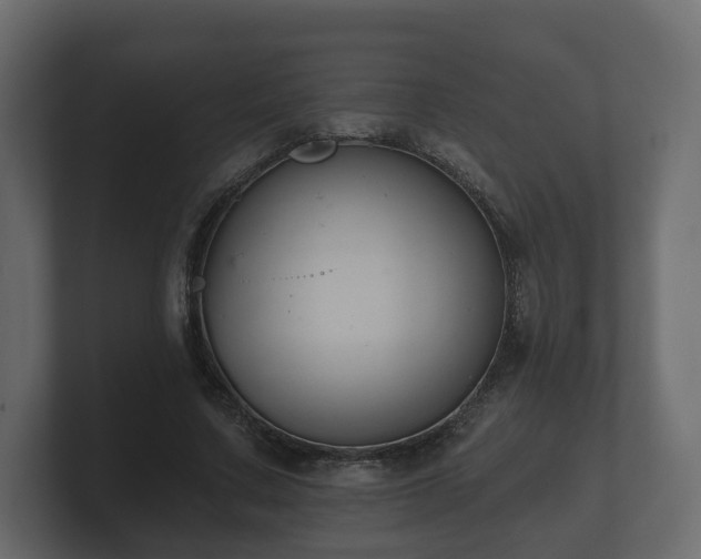 X0000100750683200806261544