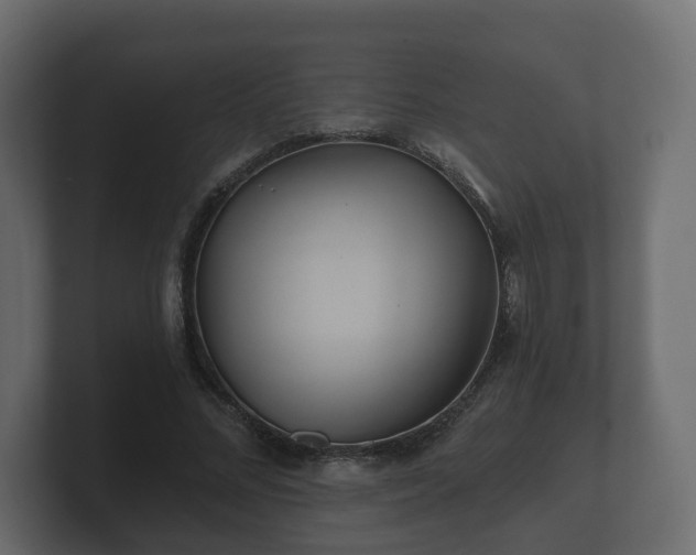 X0000100750684200806261544