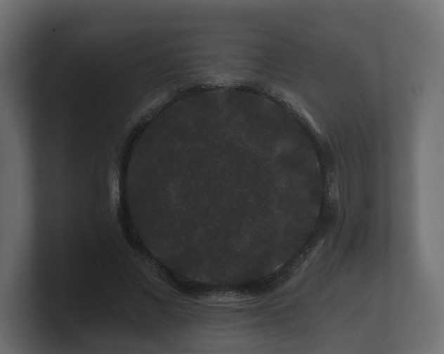 X0000100750685200806261544