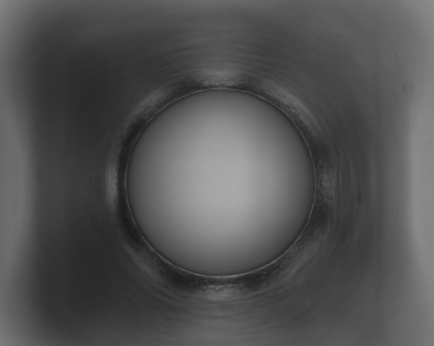 X0000100750686200806261544