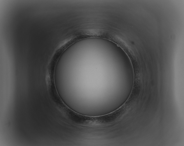 X0000100750688200806261544