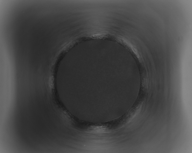 X0000100750689200806261544