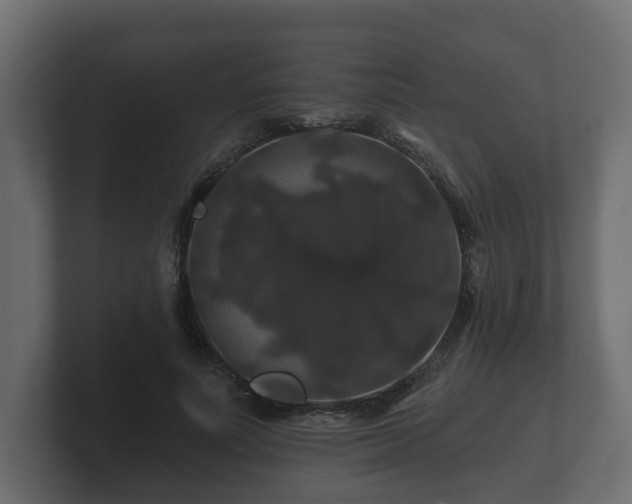 X0000100750691200806261544