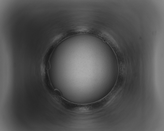 X0000100750692200806261544