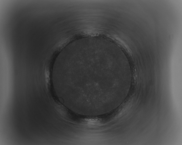 X0000100750693200806261544