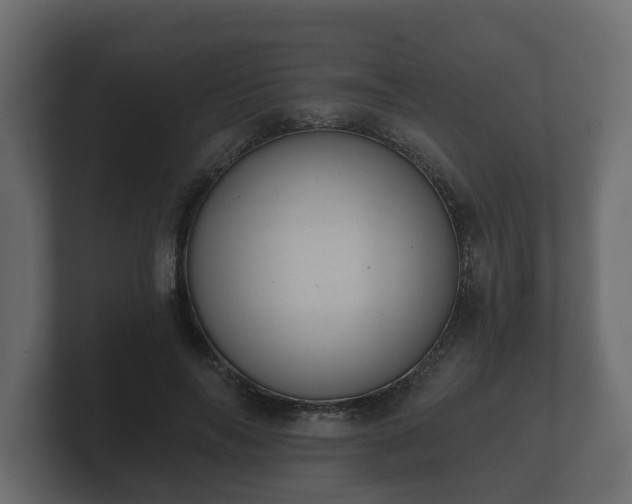 X0000100750694200806261544