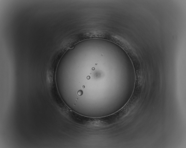 X0000100750695200806261544