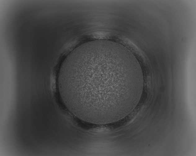 X0000100750696200806261544