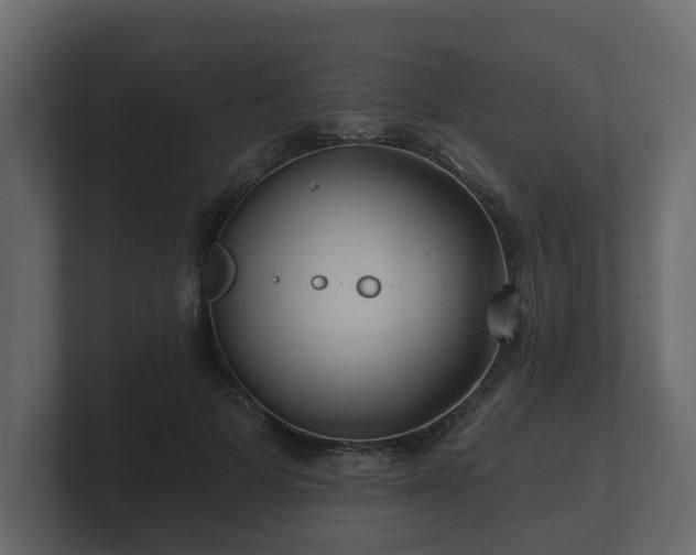 X0000100750697200806261544