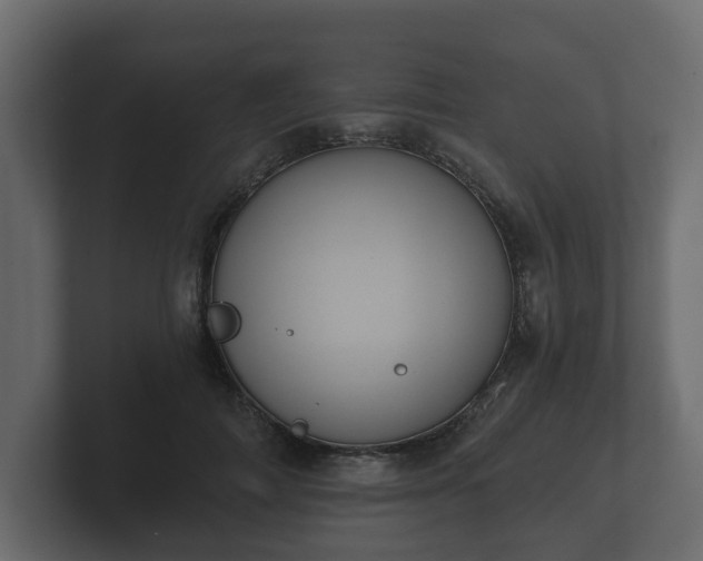 X0000100750698200806261544