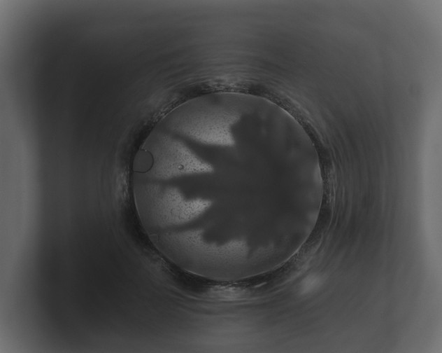 X0000100750699200806261544