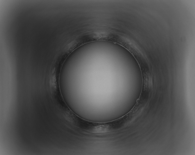 X0000100750700200806261544