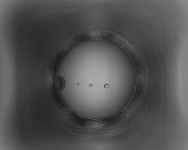 X0000100750702200806261544