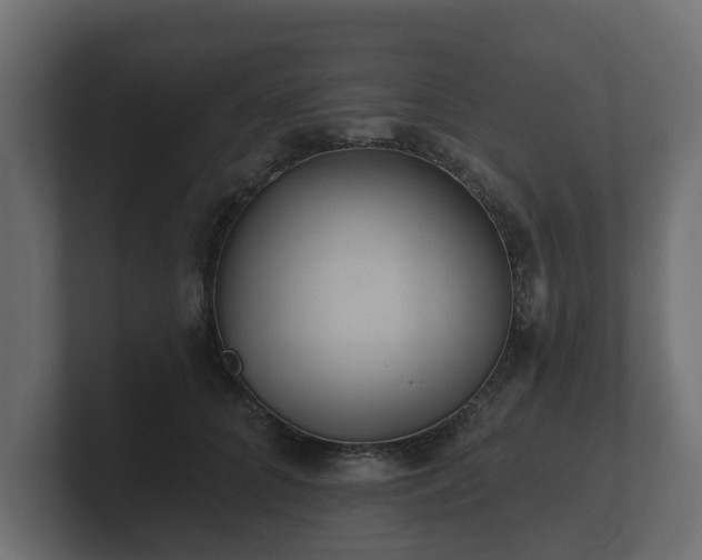 X0000100750704200806261544