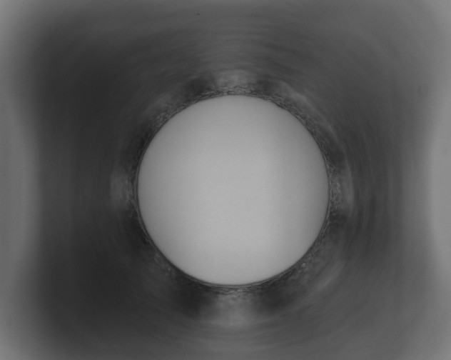 X0000100750705200806261544