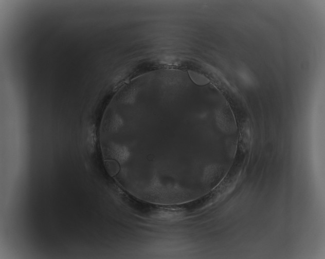 X0000100750707200806261544