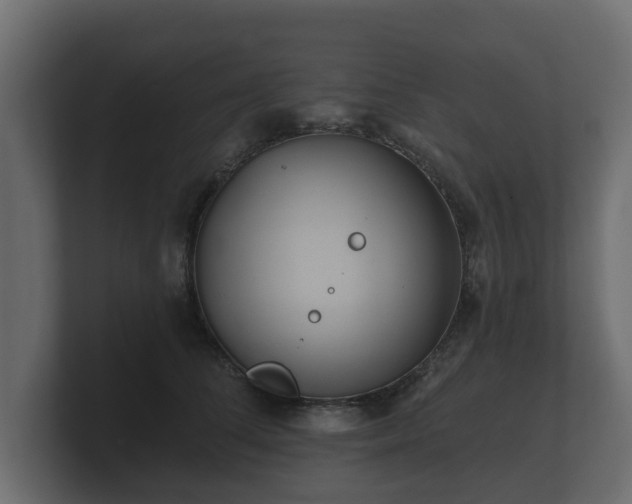 X0000100750708200806261544