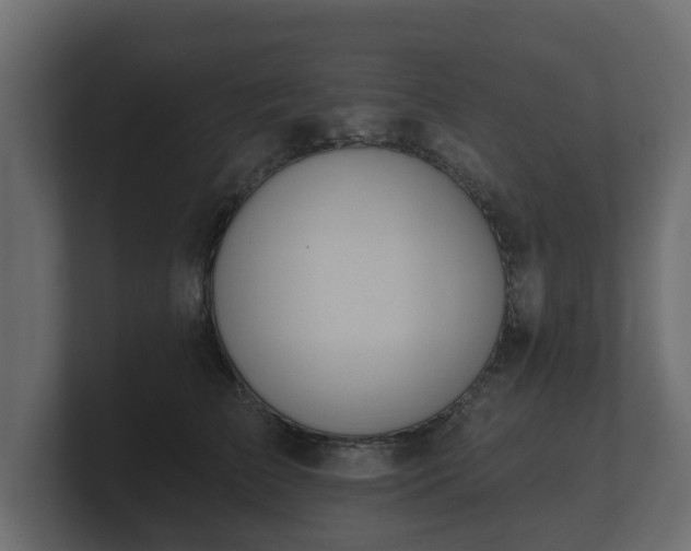 X0000100750709200806261544