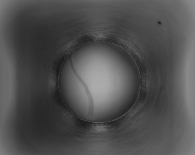 X0000100750710200806261544