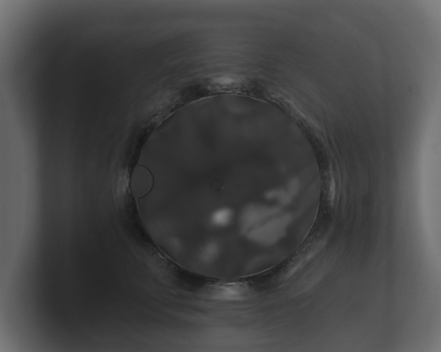 X0000100750711200806261544