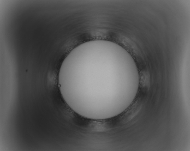 X0000100750713200806261544