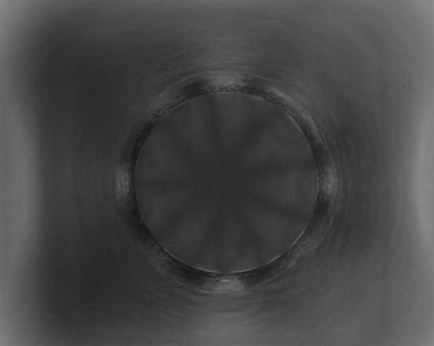 X0000100750715200806261544