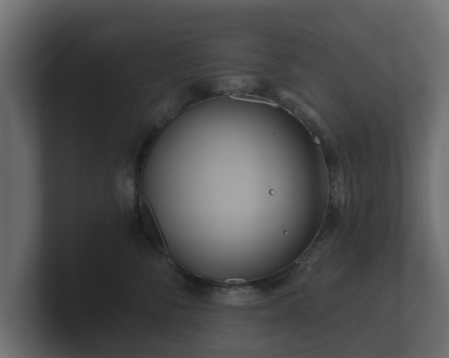 X0000100750716200806261544