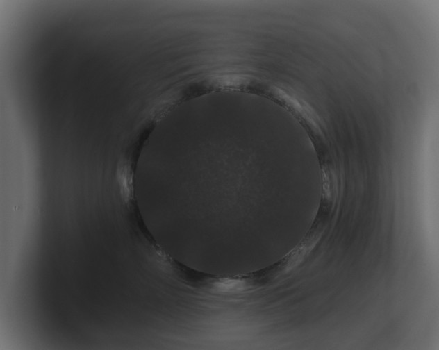 X0000100750718200806261544