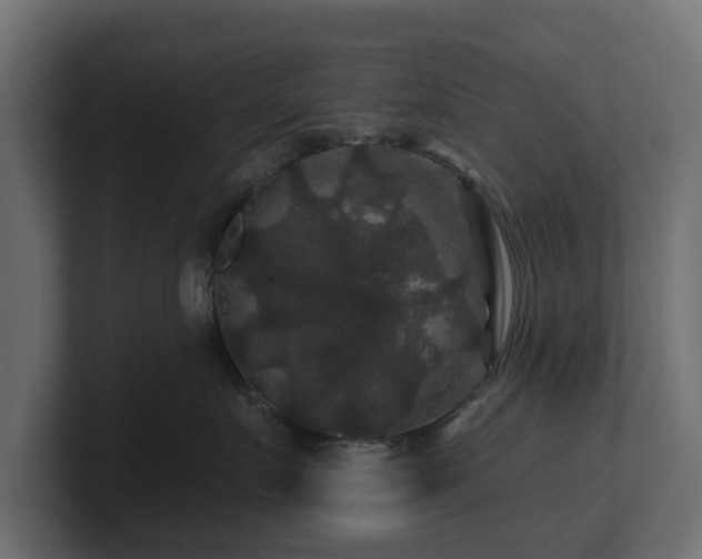 X0000100750719200806261544