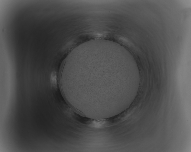 X0000100750720200806261544