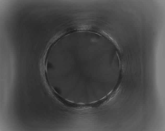 X0000100750721200806261543